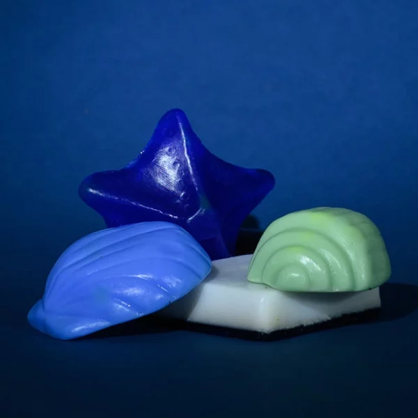 Photo de savons marins en forme d'étoile de mer et de coquillage -Kit DIY